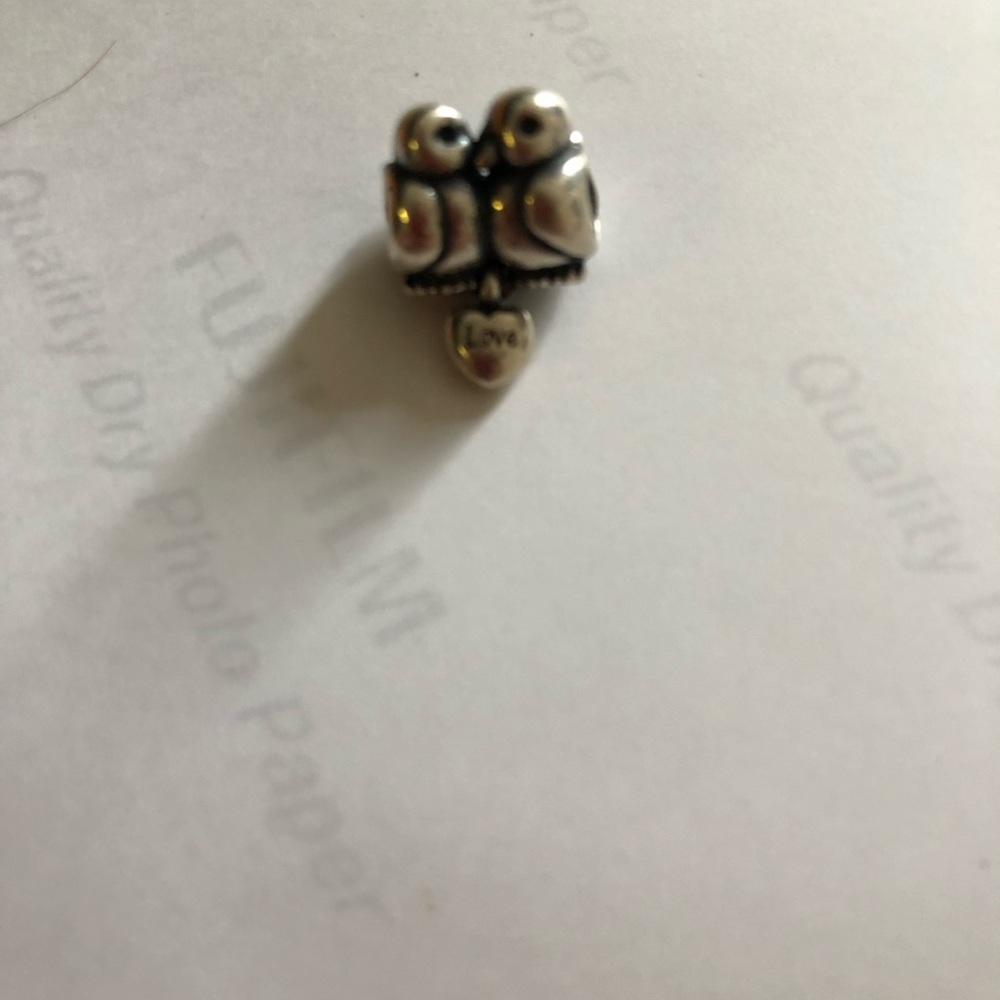 Love birds charm